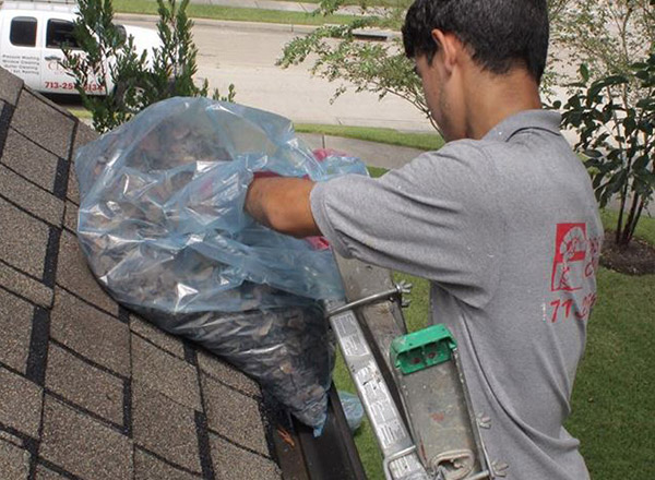 Gutter Cleaning